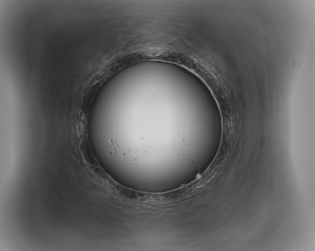 X0000116651349200912211439