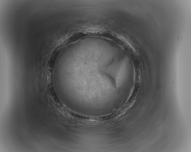 X0000116651350200912211439