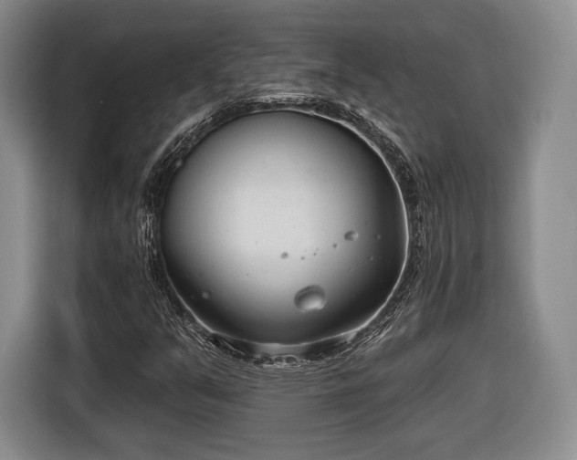 X0000116651351200912211439