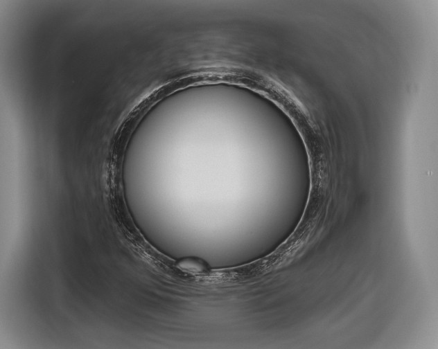 X0000116651352200912211439