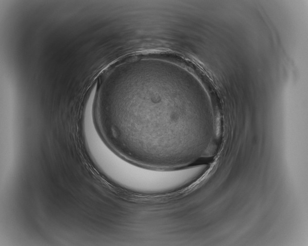 X0000116651353200912211439