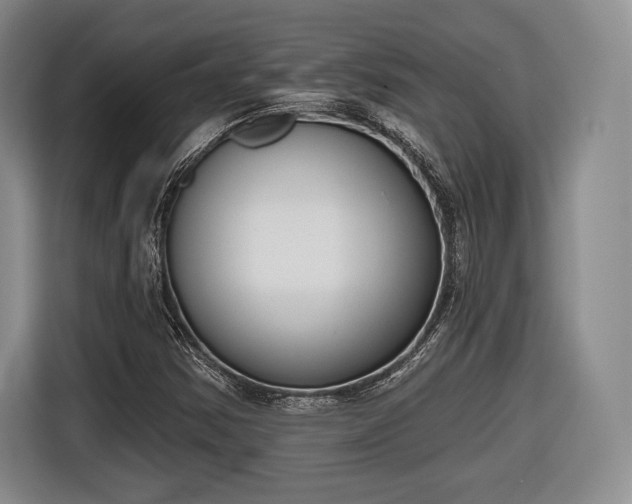 X0000116651354200912211439