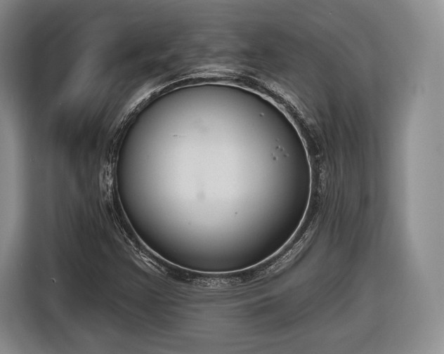 X0000116651355200912211439