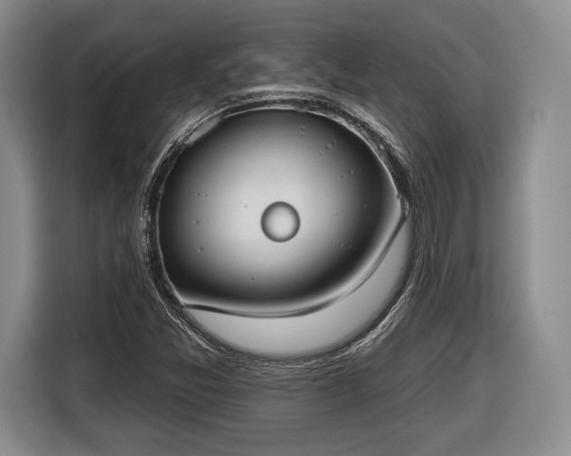 X0000116651357200912211439