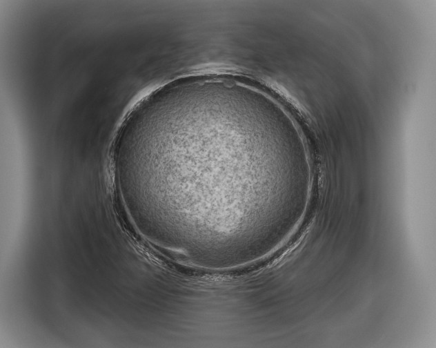 X0000116651358200912211439