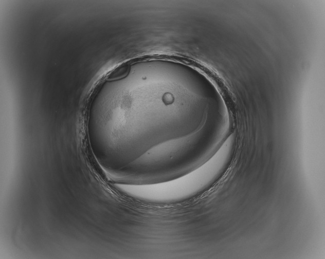 X0000116651359200912211439