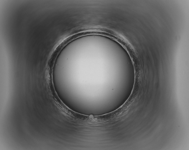 X0000116651360200912211439
