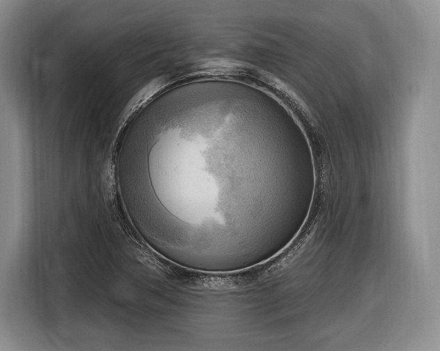 X0000116651362200912211439