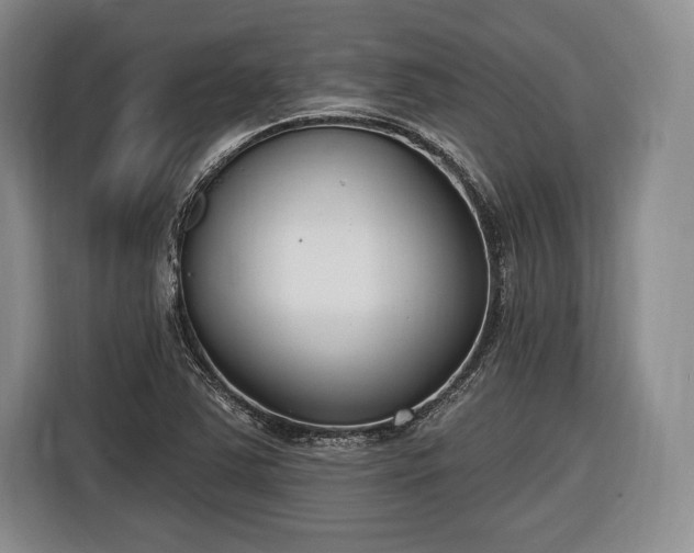 X0000116651363200912211439