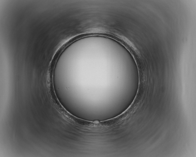 X0000116651364200912211439