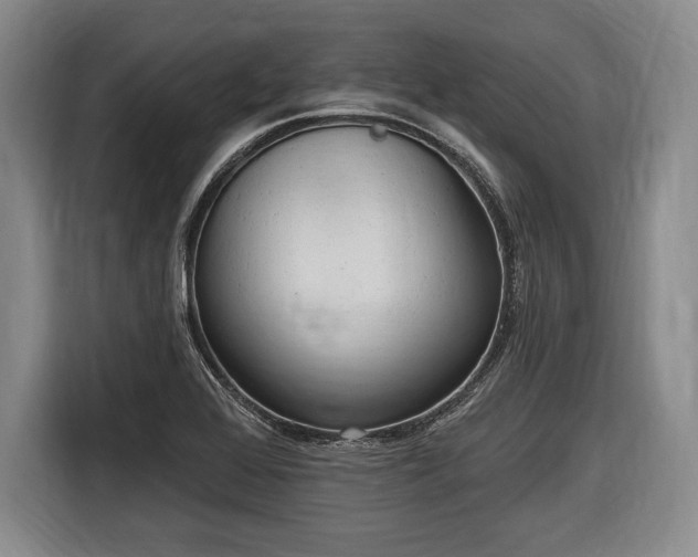 X0000116651368200912211439