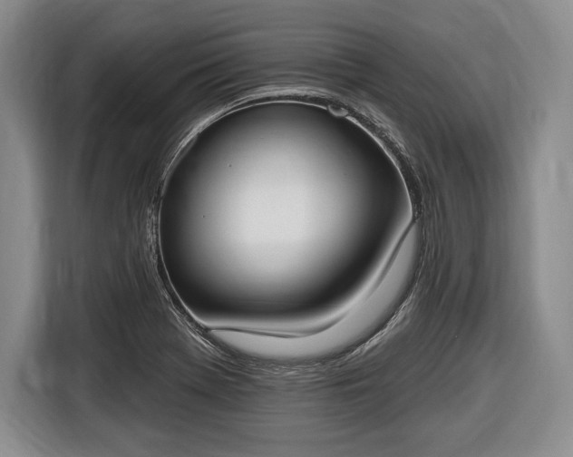 X0000116651369200912211439