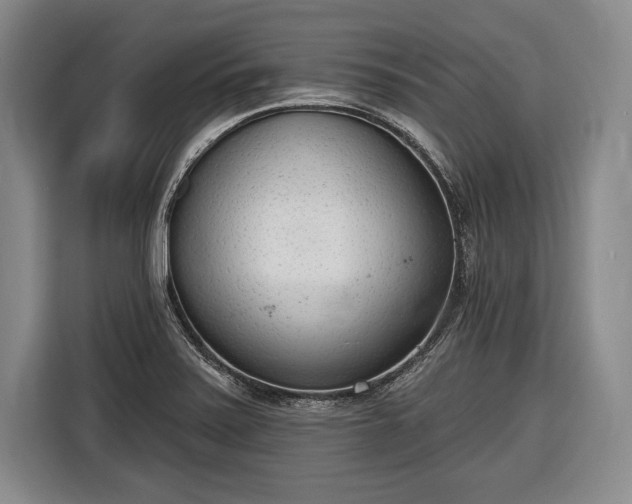 X0000116651371200912211439
