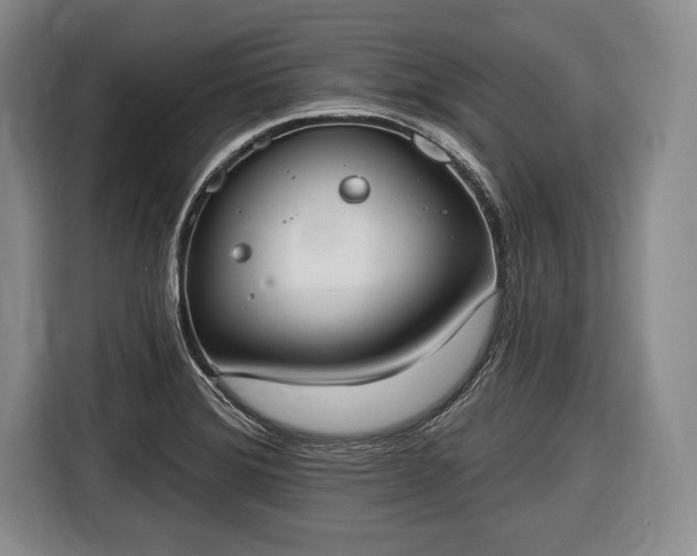 X0000116651372200912211439