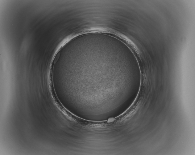 X0000116651373200912211439