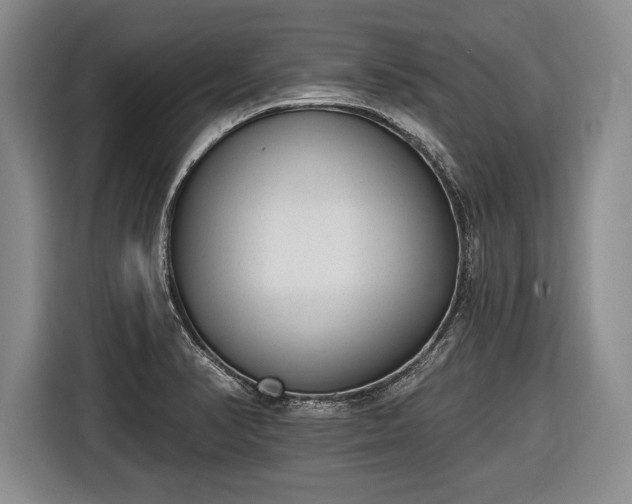X0000116651374200912211439