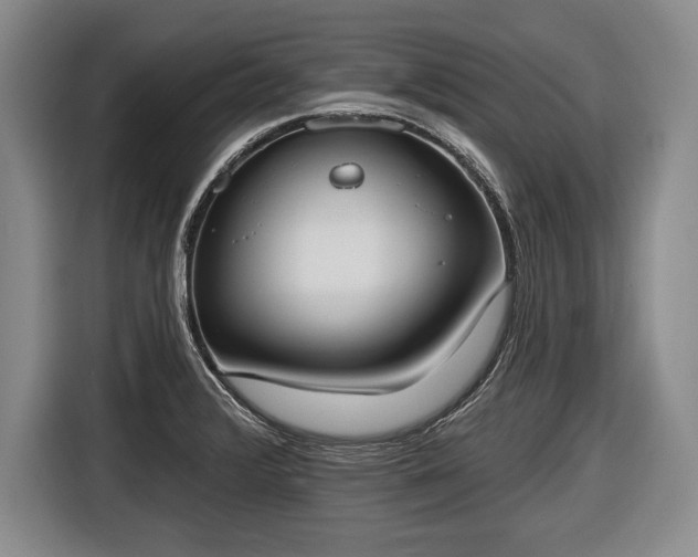X0000116651376200912211439