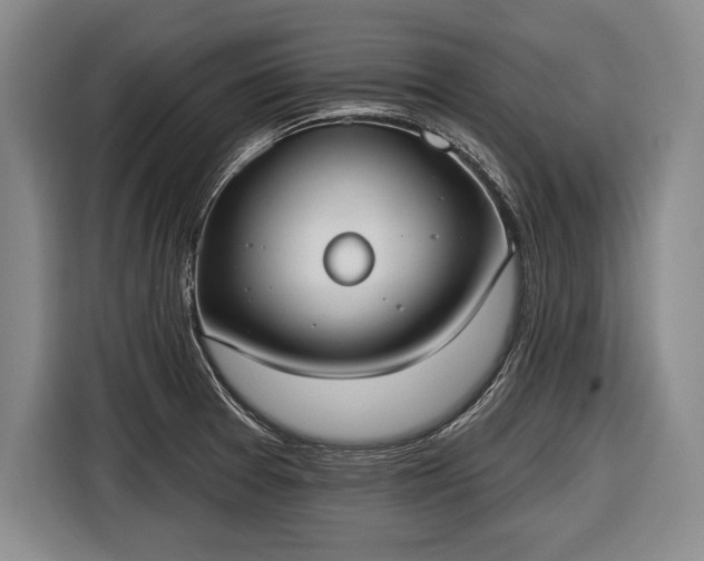 X0000116651377200912211439