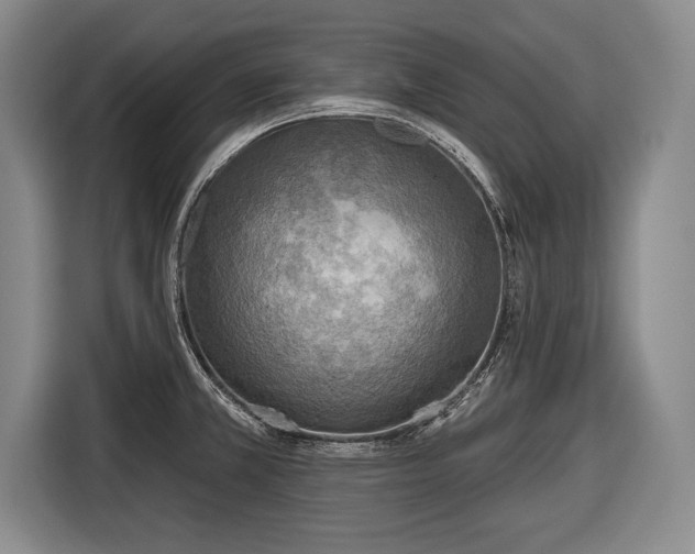X0000116651381200912211438