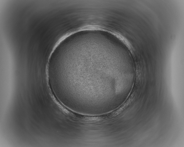 X0000116651382200912211438