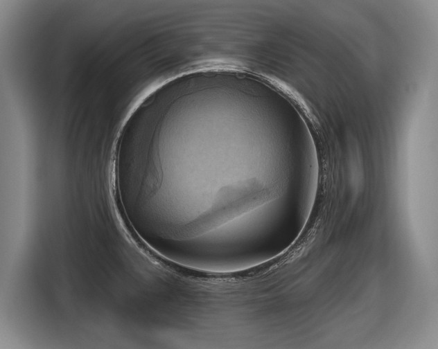 X0000116651383200912211438