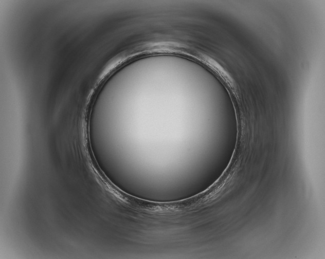 X0000116651384200912211438