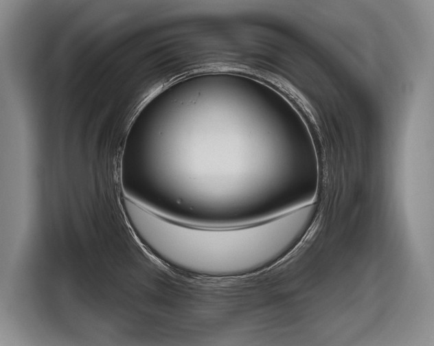 X0000116651385200912211438