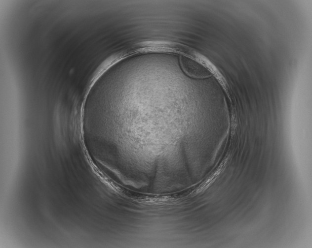 X0000116651386200912211438