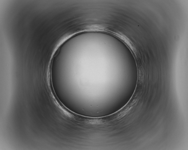 X0000116651387200912211438