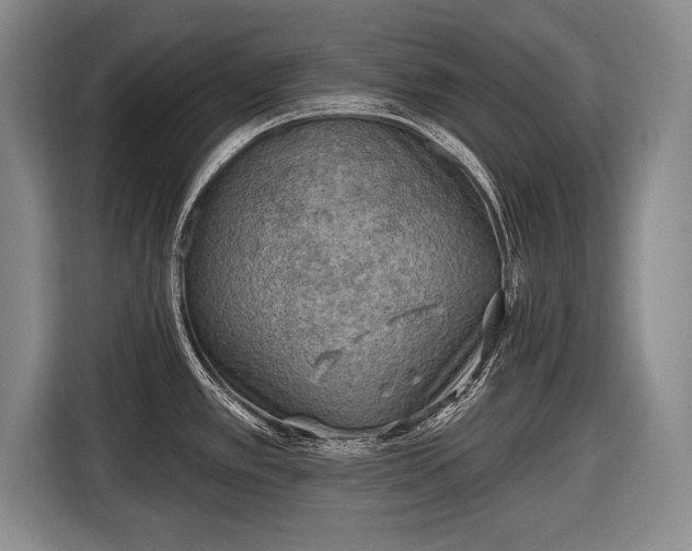X0000116651389200912211438