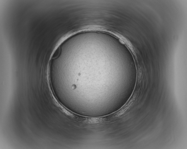 X0000116651390200912211438