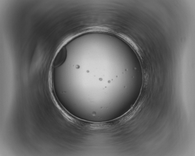 X0000116651391200912211438