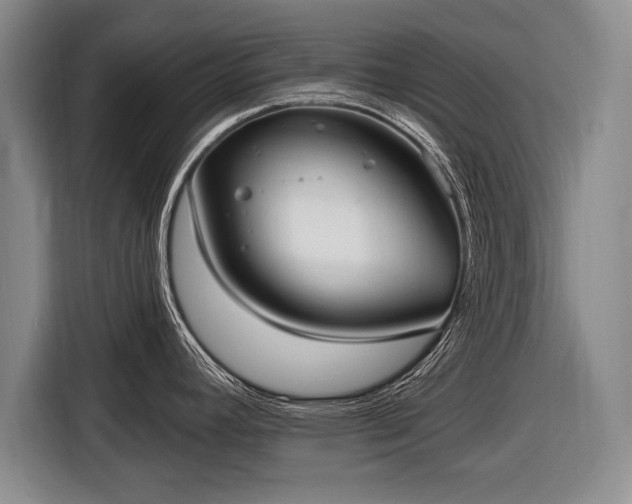 X0000116651392200912211438
