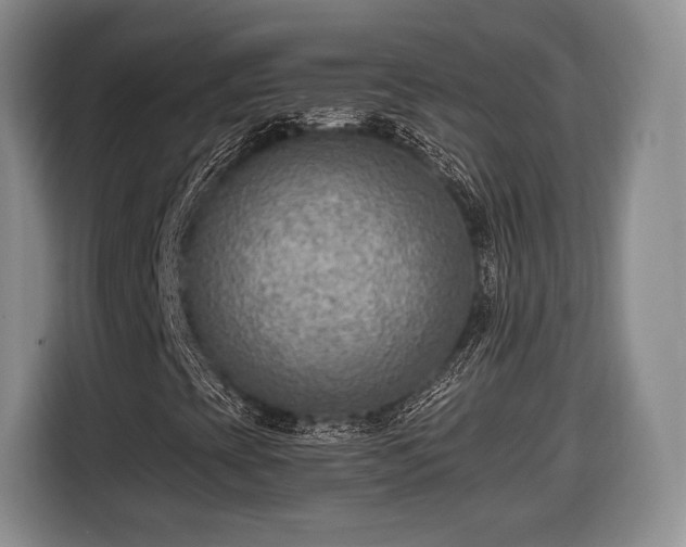 X0000116651393200912211438