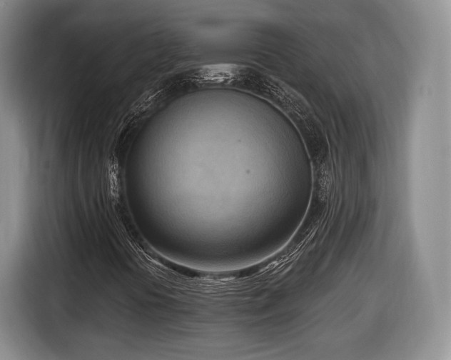 X0000116651394200912211438