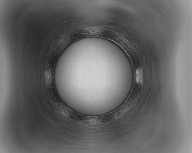 X0000116651395200912211438