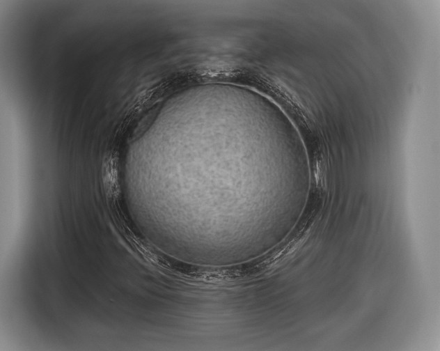X0000116651396200912211438