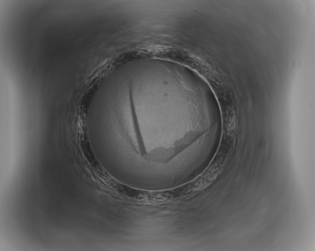 X0000116651397200912211438