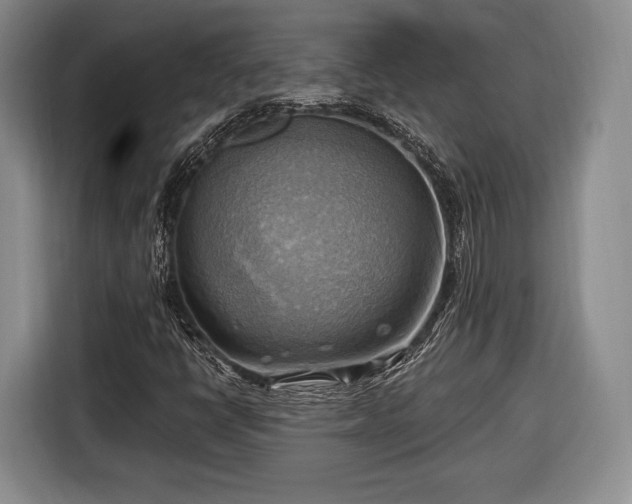 X0000116651398200912211438