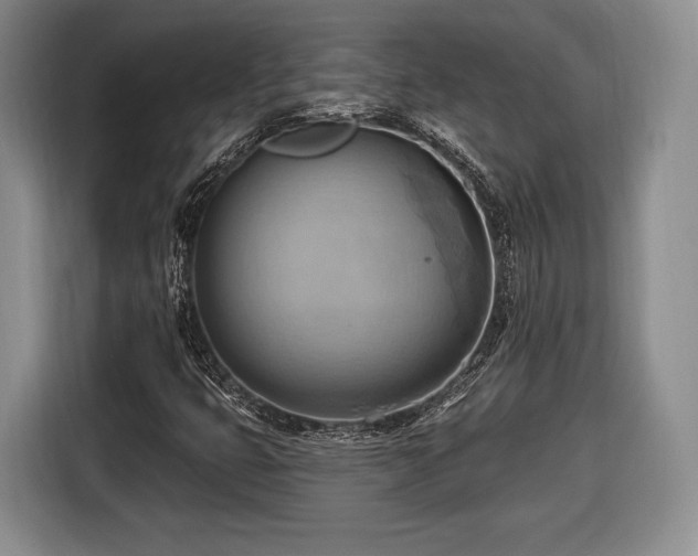 X0000116651399200912211438