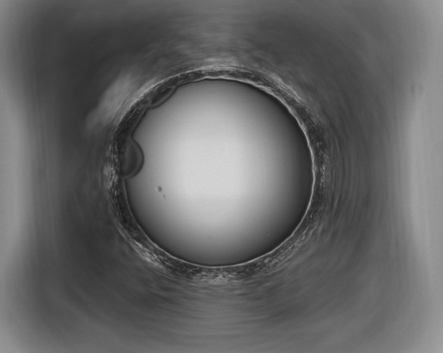 X0000116651400200912211438