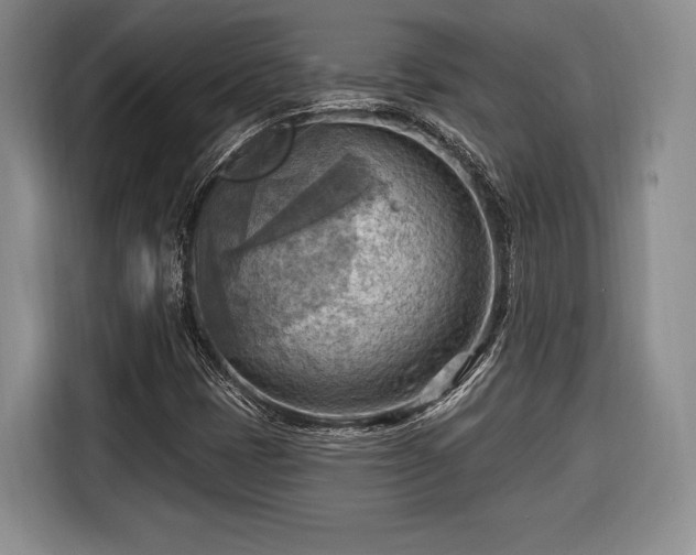 X0000116651401200912211438