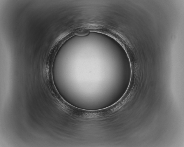 X0000116651402200912211438