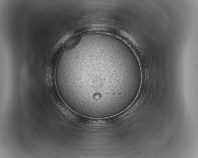 X0000116651403200912211438