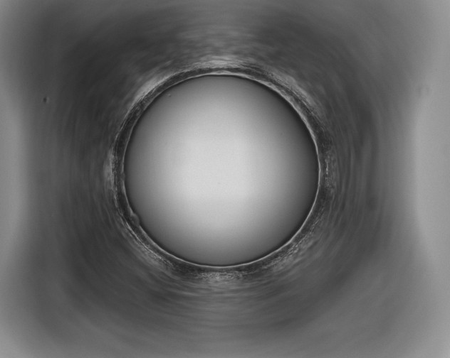 X0000116651404200912211438