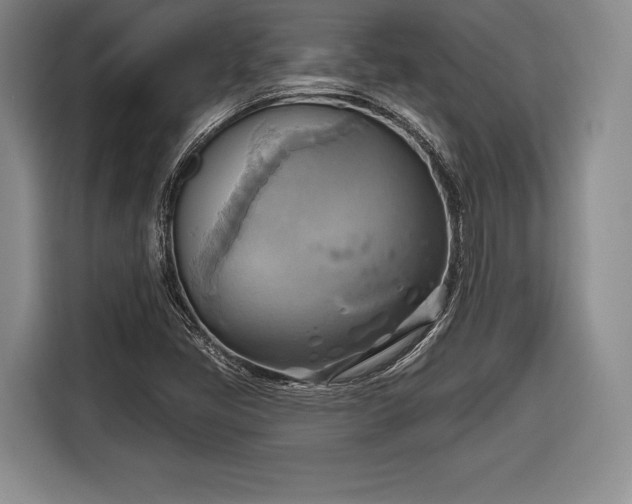 X0000116651405200912211438