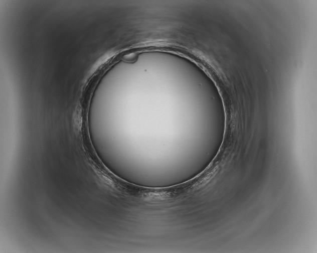 X0000116651406200912211438