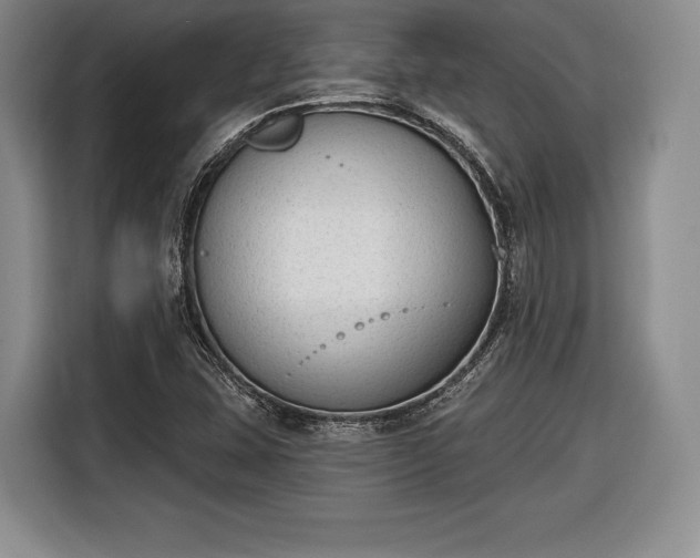 X0000116651407200912211438