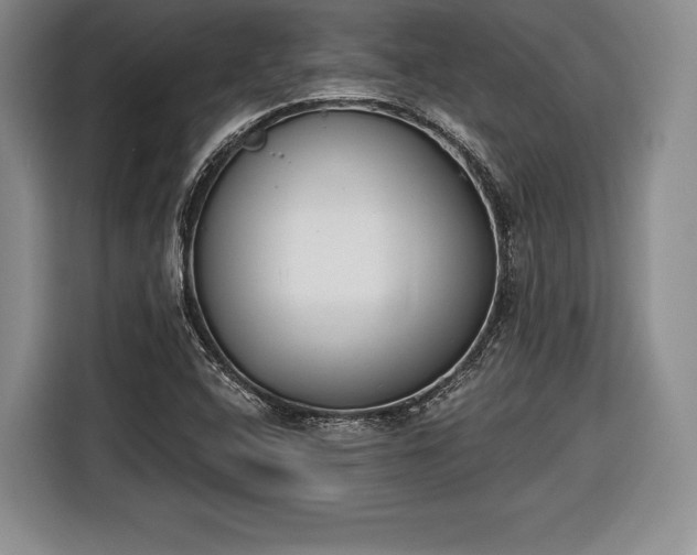X0000116651408200912211438