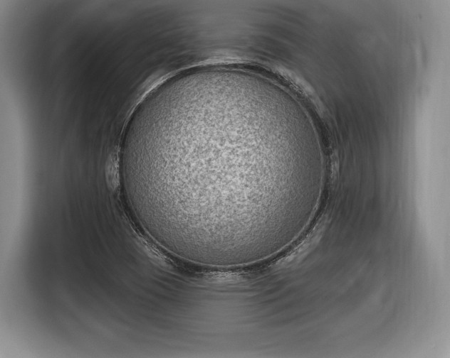 X0000116651409200912211438